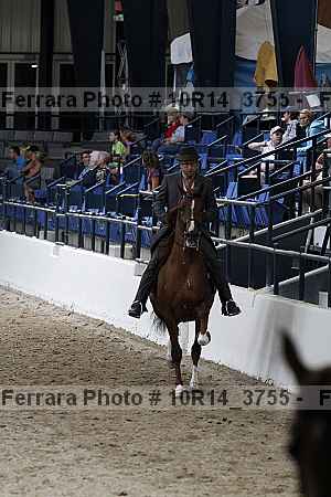 Proof 10r14_3755