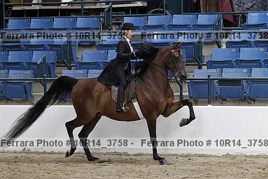 Proof 10r14_3758