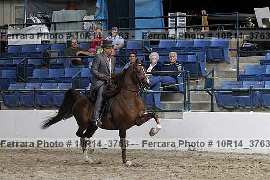 Proof 10r14_3763