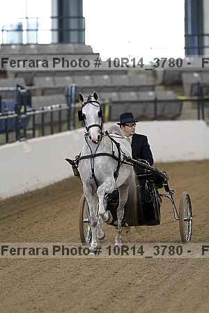 Proof 10r14_3780
