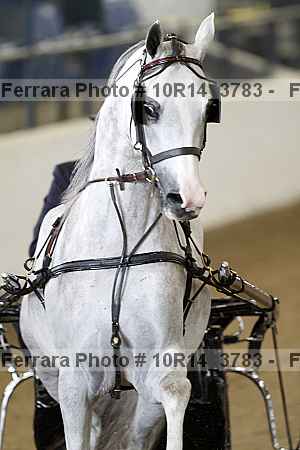 Proof 10r14_3783