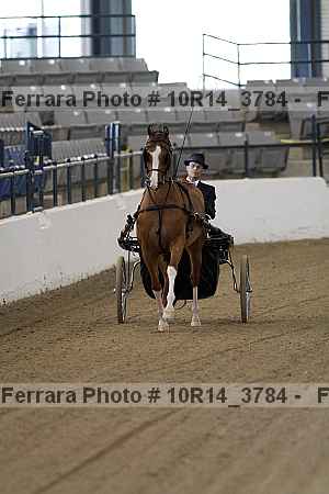 Proof 10r14_3784