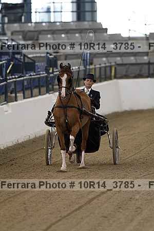 Proof 10r14_3785