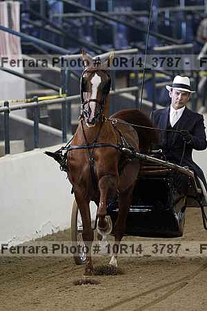 Proof 10r14_3787