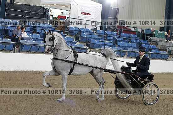 Proof 10r14_3788