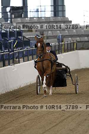 Proof 10r14_3789
