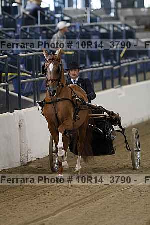 Proof 10r14_3790
