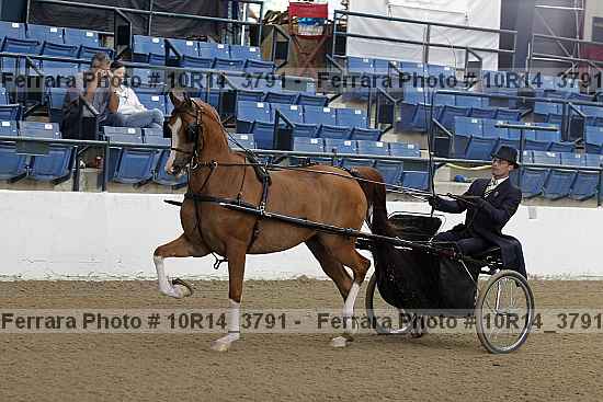 Proof 10r14_3791