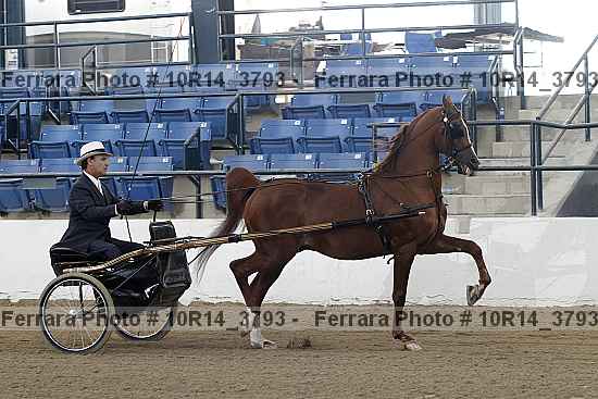 Proof 10r14_3793