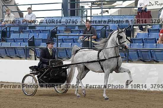 Proof 10r14_3795