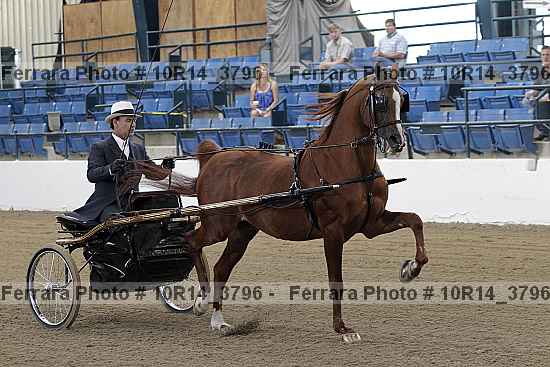 Proof 10r14_3796