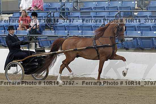 Proof 10r14_3797