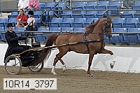10r14_3797 proof