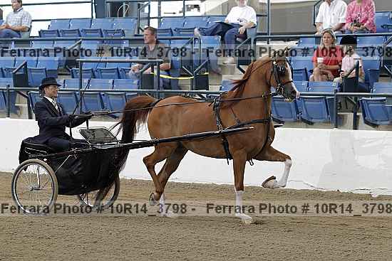 Proof 10r14_3798