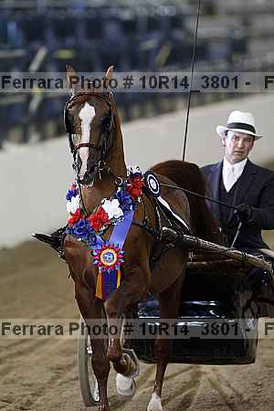Proof 10r14_3801
