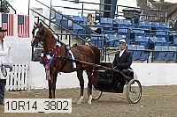 10r14_3802 proof