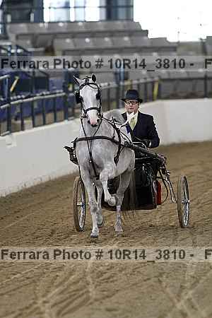 Proof 10r14_3810