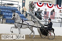 10r14_3814 proof