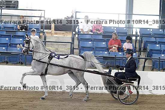 Proof 10r14_3815