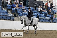 10r14_3823 proof