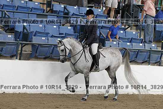 Proof 10r14_3829