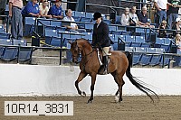 10r14_3831 proof