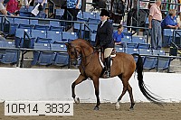 10r14_3832 proof