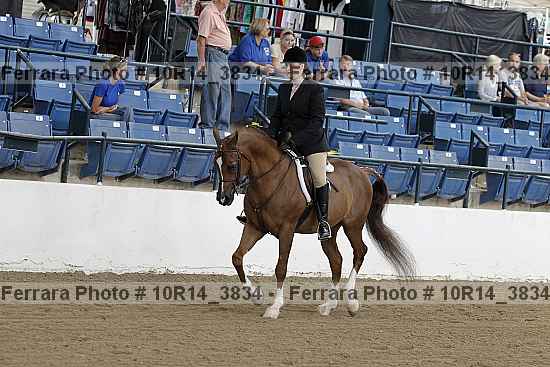 Proof 10r14_3834