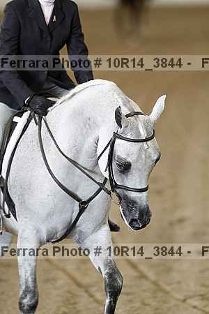Proof 10r14_3844