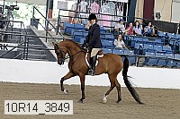 10r14_3849 proof