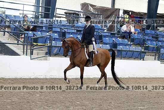 Proof 10r14_3873
