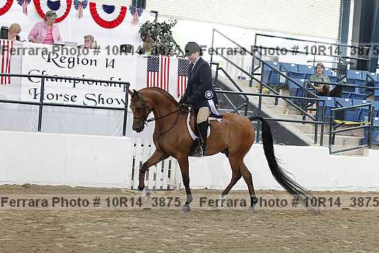 Proof 10r14_3875