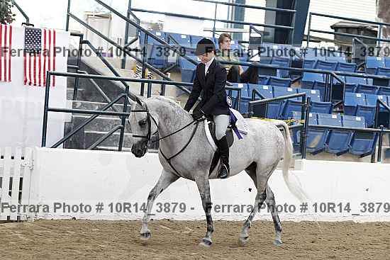 Proof 10r14_3879