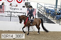 10r14_3887 proof