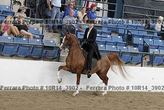 Proof 10r14_3902