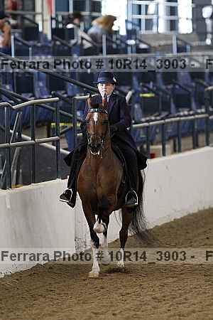 Proof 10r14_3903