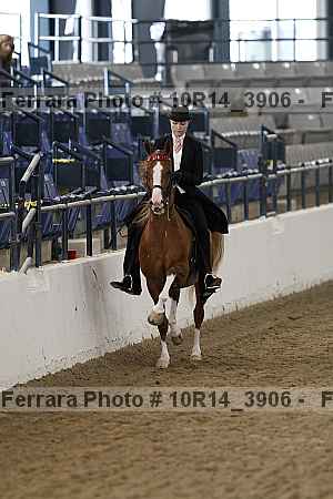 Proof 10r14_3906