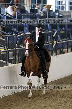 Proof 10r14_3907