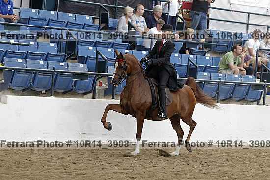 Proof 10r14_3908