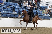 10r14_3908 proof