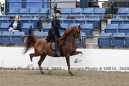 Proof 10r14_3909