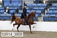 10r14_3909 proof