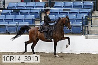 10r14_3910 proof