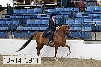 10r14_3911 proof