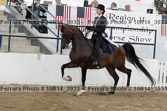 Proof 10r14_3933