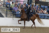 10r14_3943 proof