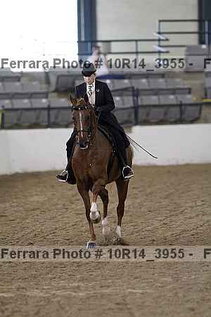 Proof 10r14_3955