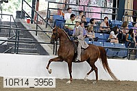 10r14_3956 proof
