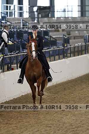 Proof 10r14_3958
