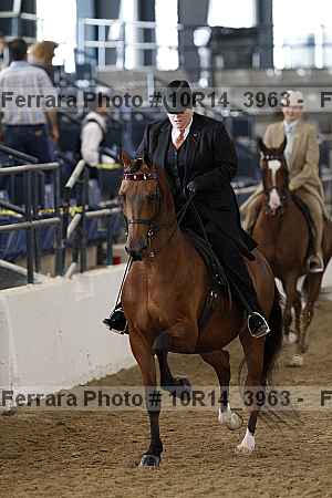 Proof 10r14_3963